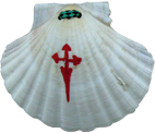 coquille pelerin