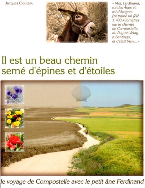 livre il_est_un_beau_chemin