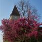 9 Eglise Bourgogne (2)