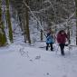 les vosges _015w-e raquettes 2022