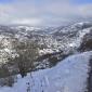 les vosges _017w-e raquettes 2022