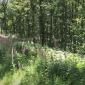 2022 06 Meuse