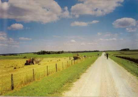 Moisson sur le Chemin