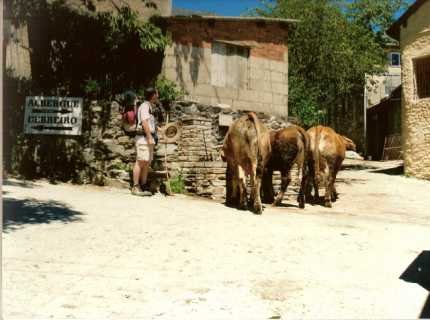 A chacun son tour