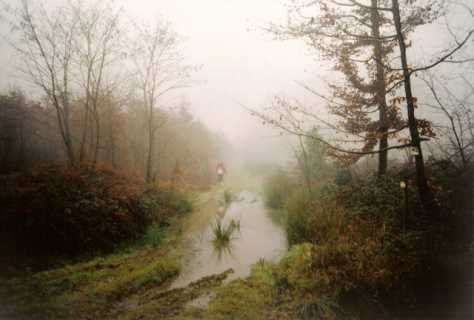 Entre Vézelay et Thurigny