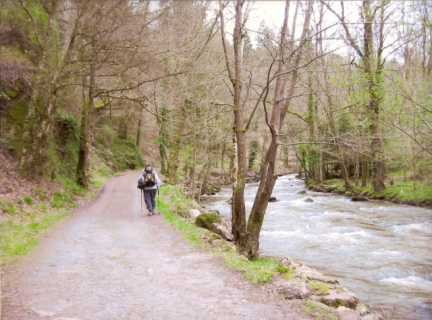 Chemin au bord de la Sedette