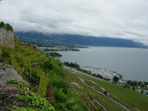 06 Le vignoble du Léman