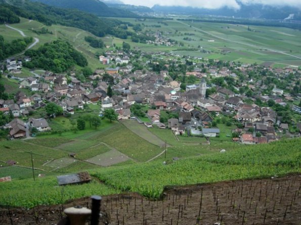 10 Ollon et la vallée du Rhône