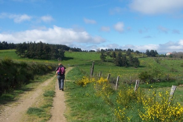 Traversée de la Margueride