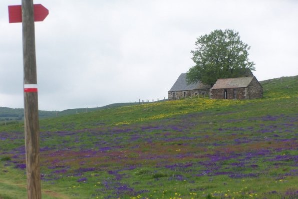 Traversée de l'Aubrac : "C'est dans le silence et la solitude, qu'on n'entend plus que l'essentiel"