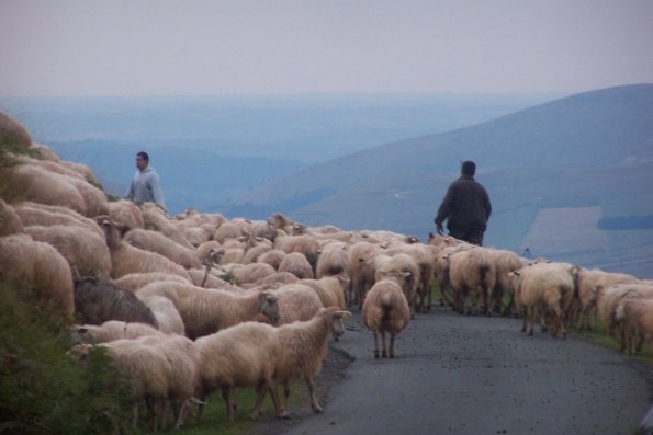 En route vers l'Espagne : aux environs d'Orisson