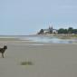 4 Baie de Somme (11)