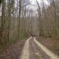 Parcours en forêt (humide !)