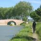 Le long du canal du midi